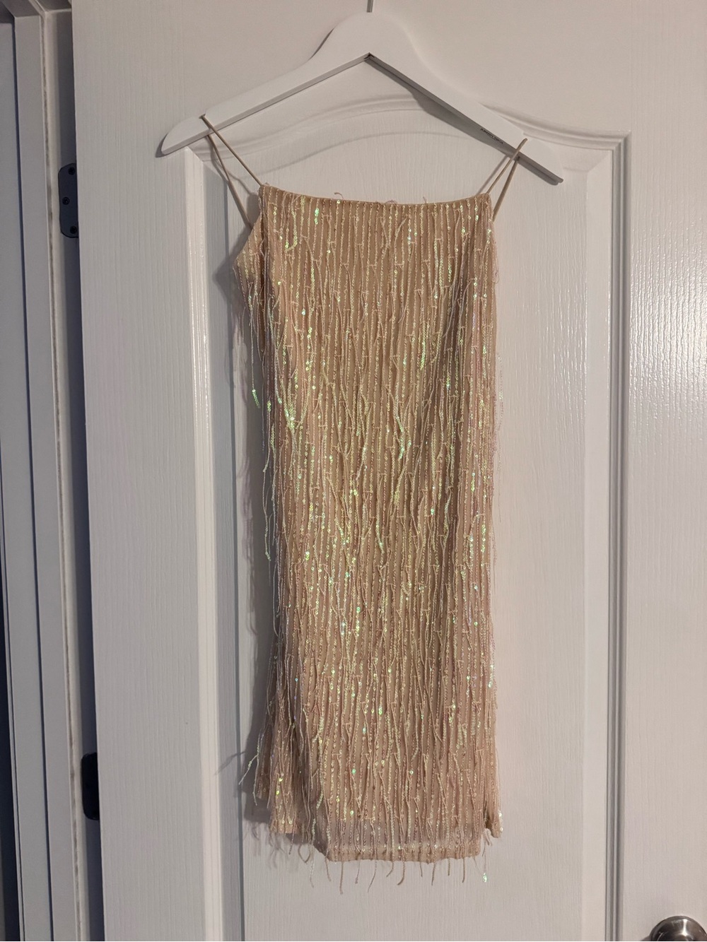 Say What? Iridescent Fringe Mini Dress - Nude
